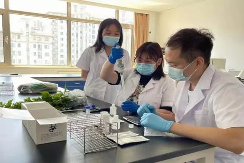 推廣應用快速檢測技術，筑牢農產品質量安全“最初一公里”防線